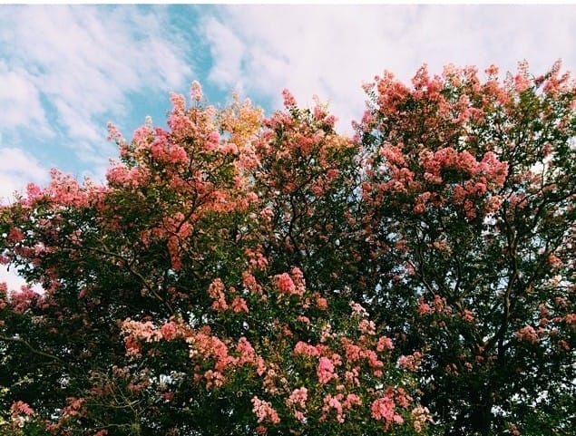 10369433_778619568855859_57562445_n