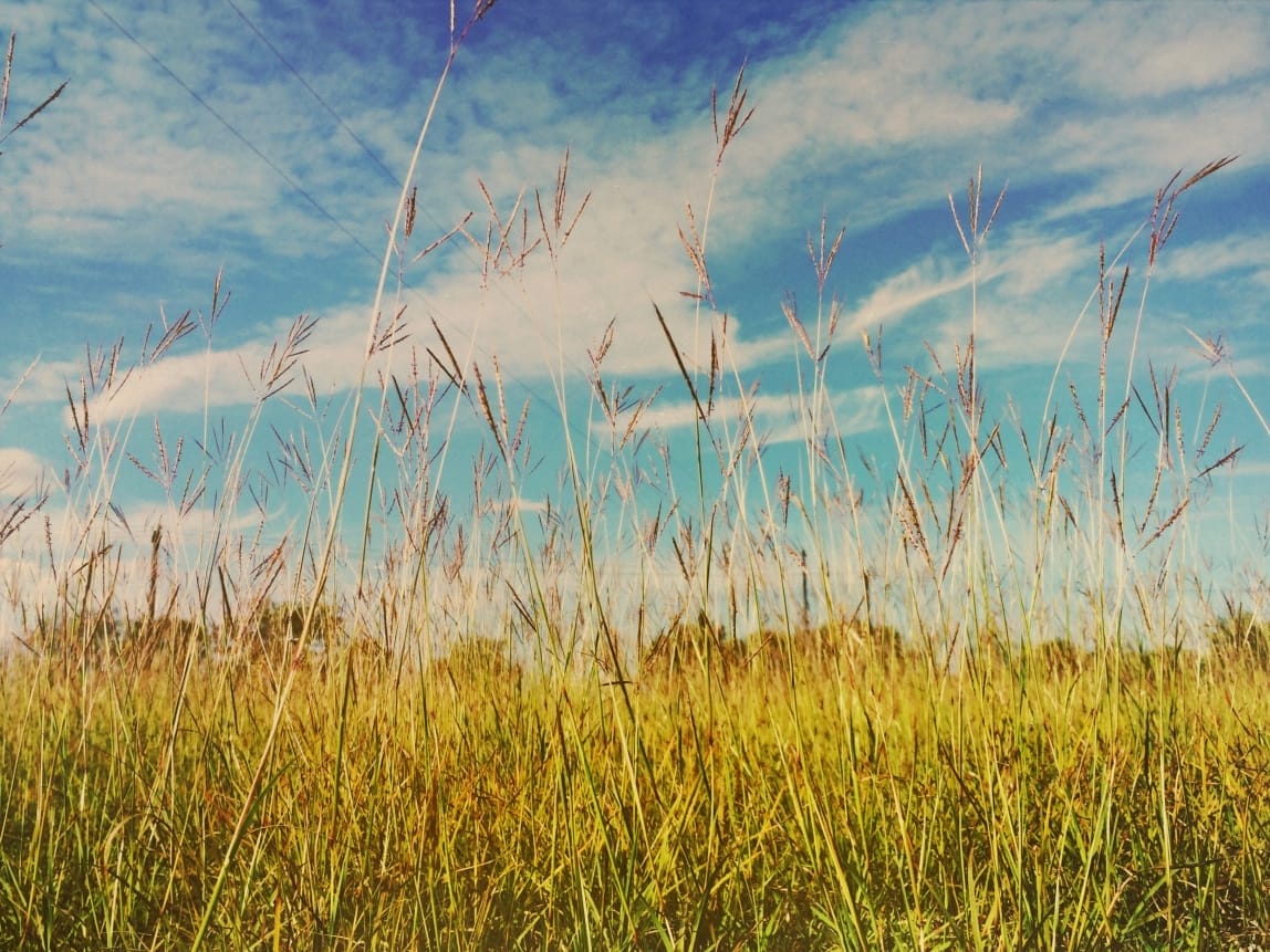 Processed with VSCOcam with 8 preset