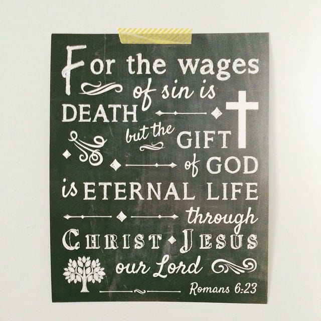 10956097_1405638726411934_1846954796_n