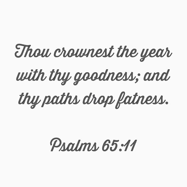 11251400_1633866026850521_639492397_n