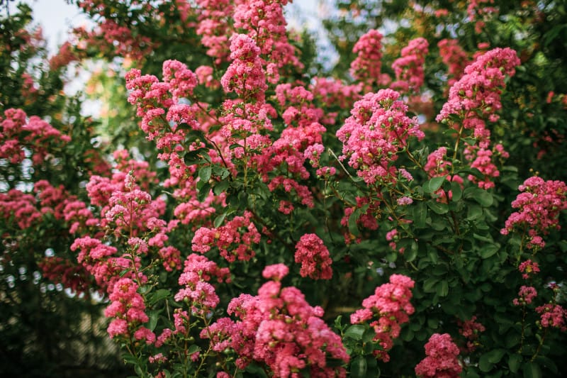 Garlands of Grace Blog 7.13.15