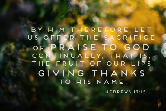 Shiloh Photography || Fall 1