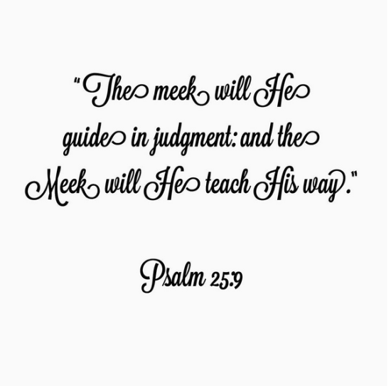 Screen Shot 2015-12-02 at 10.24.13 AM