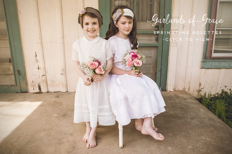 GOG Lav Rosette 5 copy