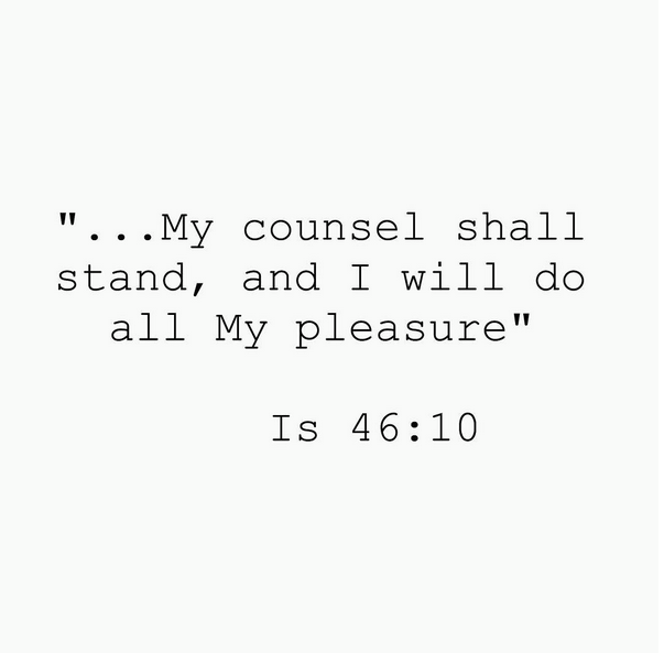 screen-shot-2016-11-08-at-11-15-38-am