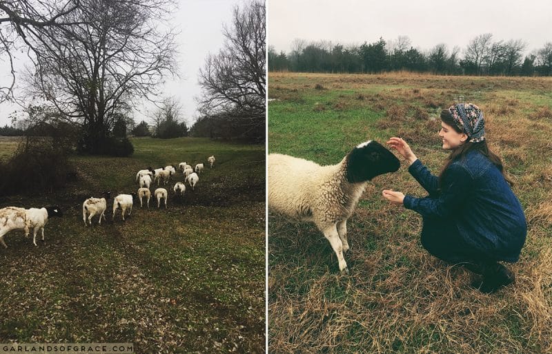 modest fashion garlands of grace headcoverings blog